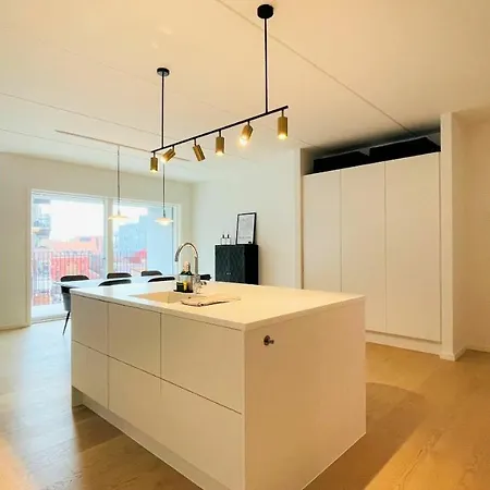 Apartmentincopenhagen 1463 公寓 哥本哈根