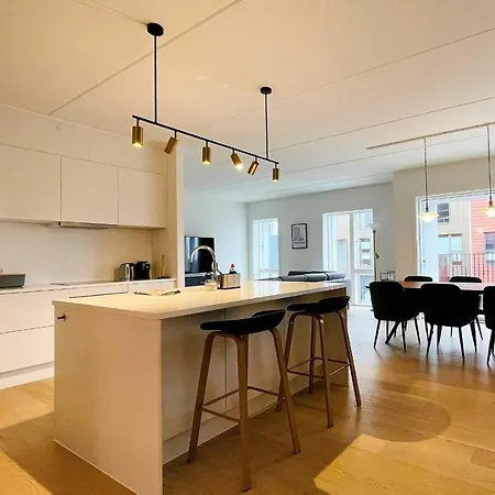 Apartmentincopenhagen 1463 哥本哈根