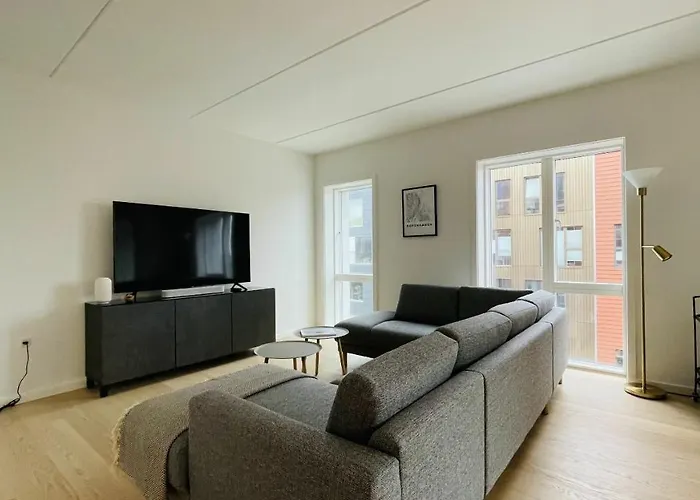 公寓 Apartmentincopenhagen 1463 哥本哈根